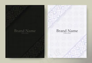 豪华黑白背景，带边框图案