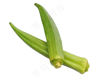 蔬菜秋葵