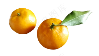 两个好吃美味营养橘子