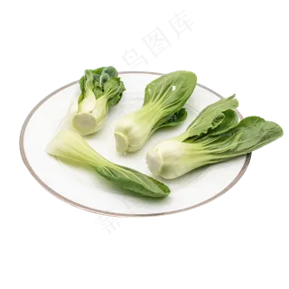 新鲜蔬菜绿色油菜 新鲜蔬菜绿色油菜