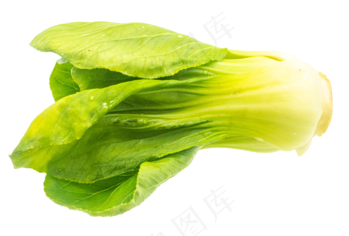 有机蔬菜油菜(3000X3000(DPI:300))