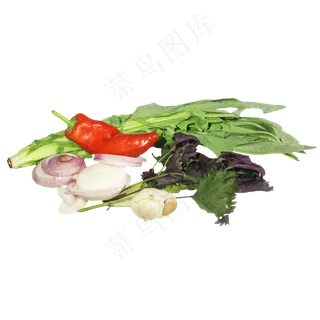 有机蔬菜组合