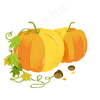 秋天秋季蔬菜南瓜