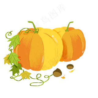 秋天秋季蔬菜南瓜