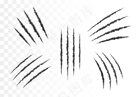 可怕的撕裂纸表面。一套野生动物的爪子。撕破的纸边。透明背景上的矢量图