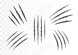 可怕的撕裂纸表面。一套野生动物的爪子。撕破的纸边。透明背景上的矢量图