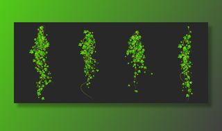 常春藤攀缘藤蔓植物的绿色叶子，植物装饰设计元素隔离在黑色背景。