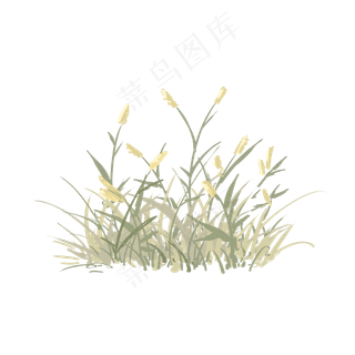 大自然淡雅泛黄草丛