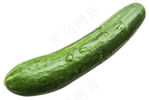小黄瓜蔬菜 小黄瓜蔬菜