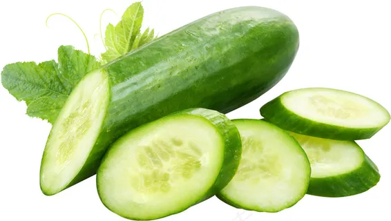 黄瓜 蔬菜 黄瓜 蔬菜