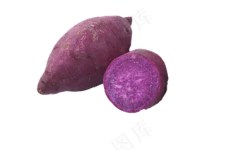 绿色种植紫色地瓜