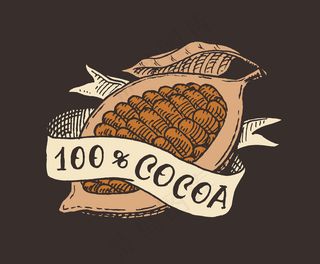 可可果和丝带。豆类或谷物。用于t恤、印刷、商店或招牌的经典徽章或标志。手绘雕刻素描。