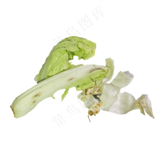 厨余垃圾腐烂蔬菜叶
