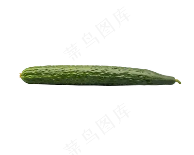 绿色蔬菜黄瓜 绿色蔬菜黄瓜