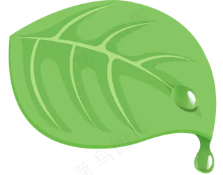 白露自然绿叶露珠矢量