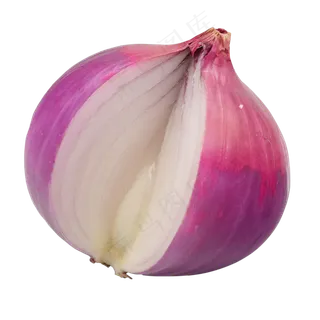 紫色洋葱