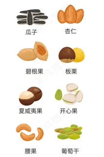 坚果图标icon 坚果图标icon