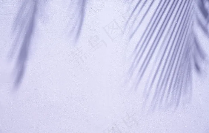 白色墙壁上抽象的阴影背景棕榈叶。