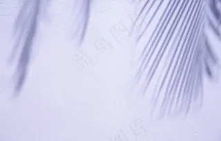 白色墙壁上抽象的阴影背景棕榈叶。