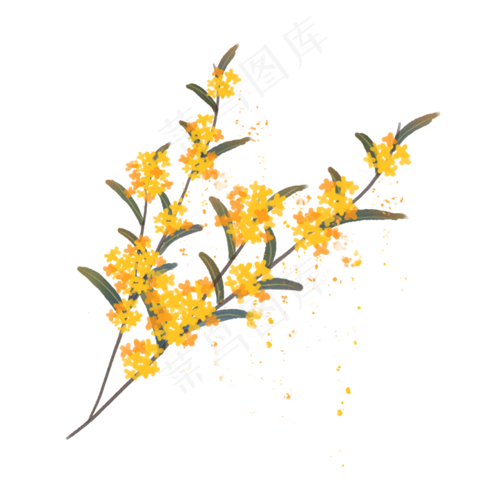 丹桂飘香手绘素材(2000X2000(DPI:300))psd模版下载