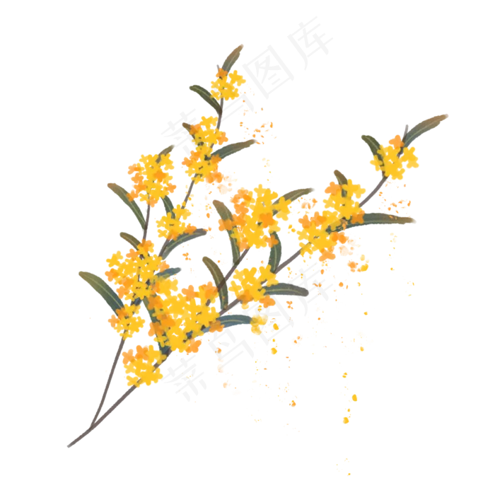 丹桂飘香手绘素材(2000X2000(DPI:300))psd模版下载