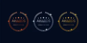 奖章套装，铜奖、银奖、金奖