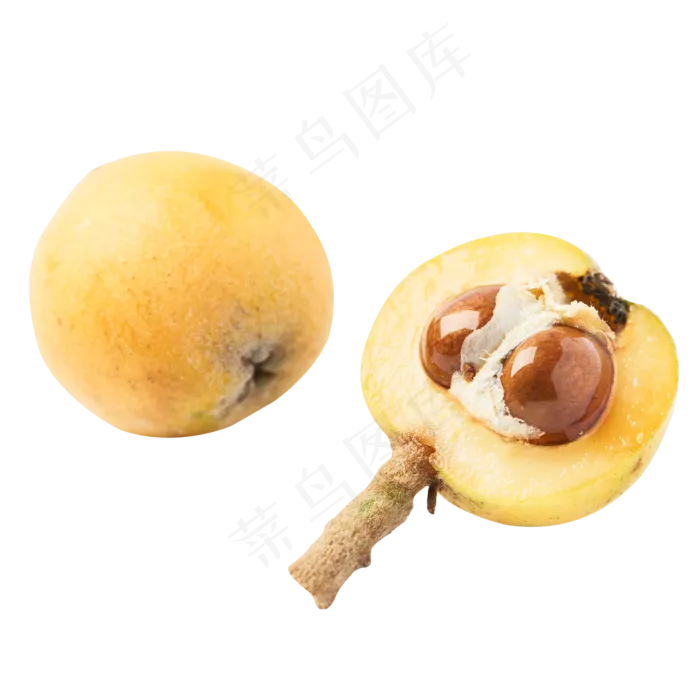 二个枇杷水果免抠图(2000X2000(DPI:300))psd模版下载