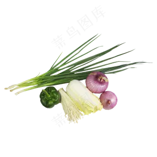 有机蔬菜组合 有机蔬菜组合