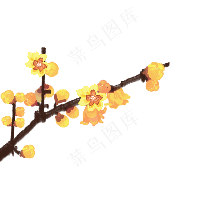 手绘腊梅黄色梅花(2000X2000(DPI:300))psd模版下载
