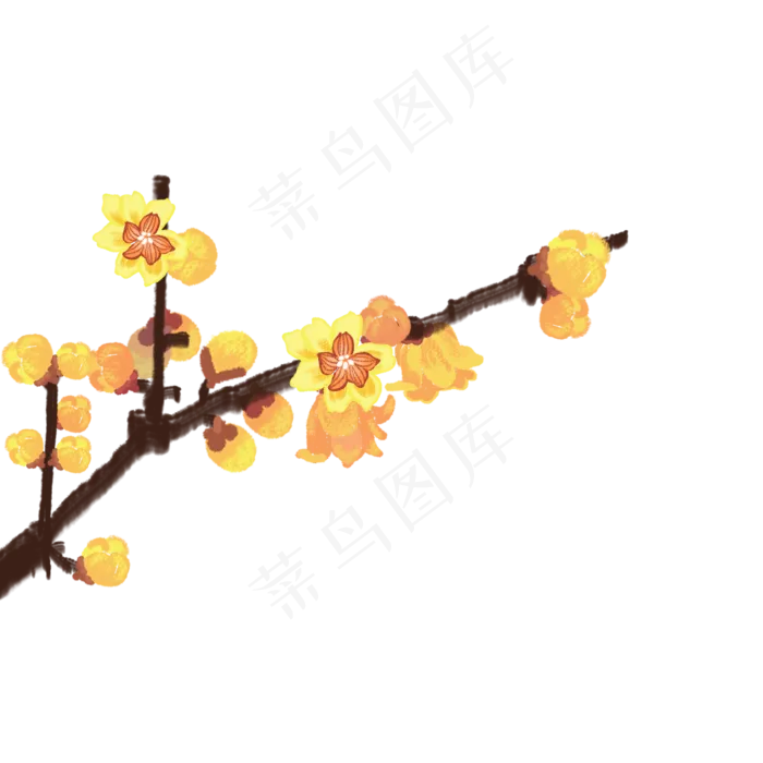 手绘腊梅黄色梅花(2000X2000(DPI:300))psd模版下载