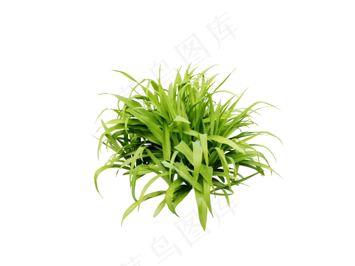 免扣素材绿色植物元素高清2