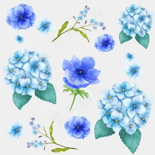 水彩盛开的花朵