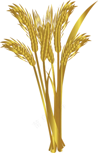 卡通稻穗矢量图下载