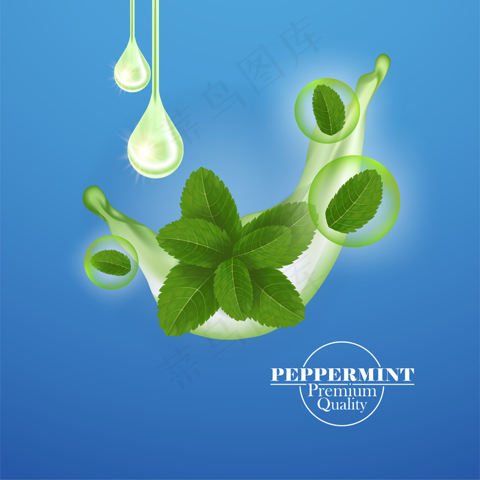绿鲜薄荷叶eps,ai矢量模版下载