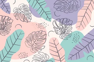 夏季图案背景最小的彩叶