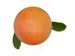椭圆水果橙子