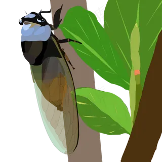 立秋知了蝉扁平风小清新手绘卡通