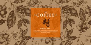 图案咖啡枝，咖啡豆，手绘花式模板，用于背景封面包装品牌咖啡