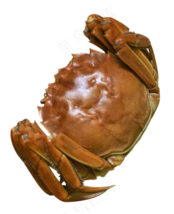 美食大闸蟹(3545X5315(DPI:300))psd模版下载
