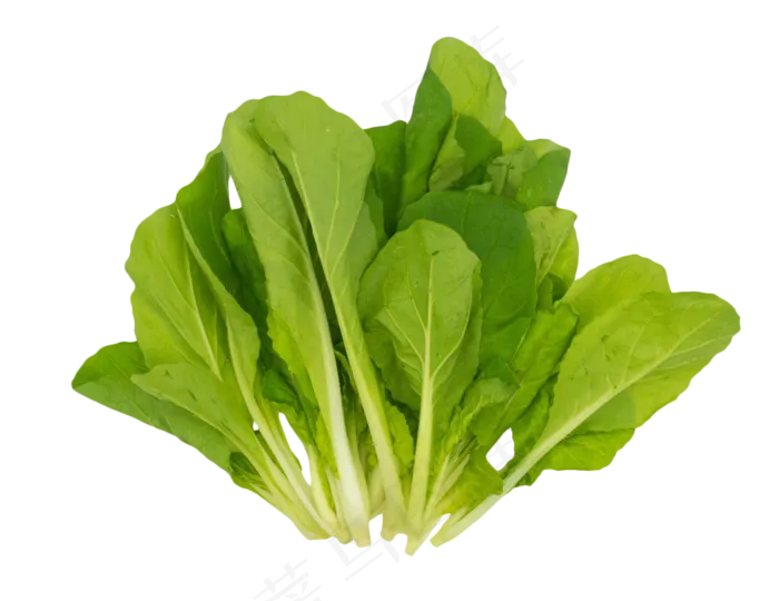 健康蔬菜(2592*2000px 300 dpi )