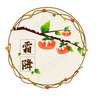 矢量柿子霜降节气