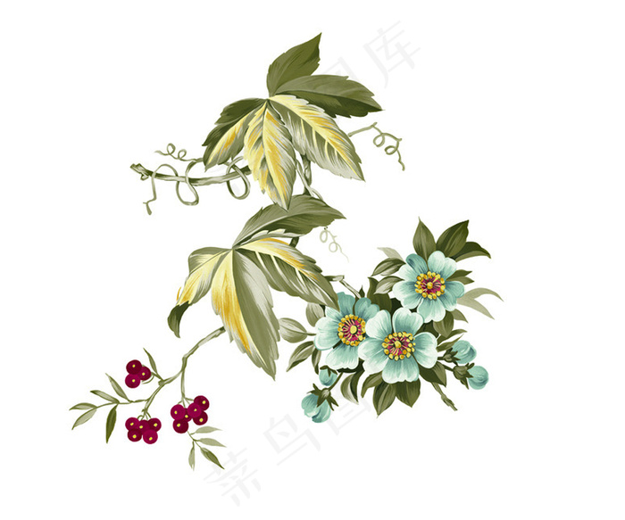 中国风白底花素材2