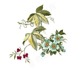 中国风白底花素材2