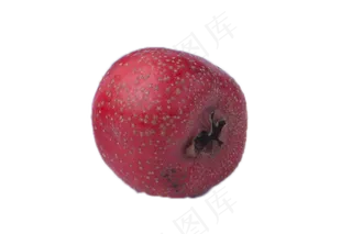 山楂开胃酸甜可口