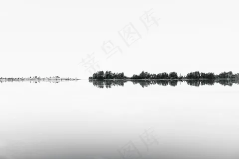一系列树木在水中反射的灰阶照片