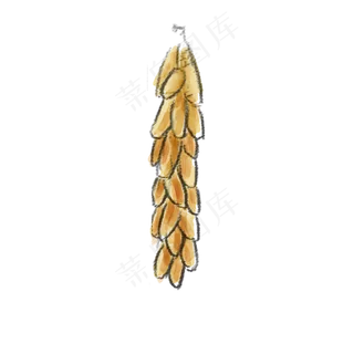 卡通一串玉米PNG下载