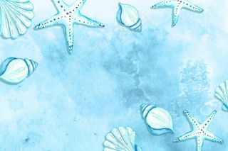 海星和贝壳的水彩画夏季背景