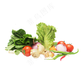 生菜番茄辣椒洋葱大蒜