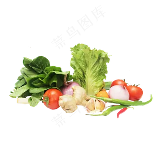 生菜番茄辣椒洋葱大蒜 生菜番茄辣椒洋葱大蒜