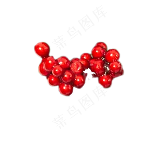 红色果实免扣下载